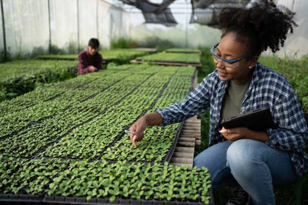 MBA Manager / Responsable des Exploitations Agricoles et des Entreprises Agroalimentaires
