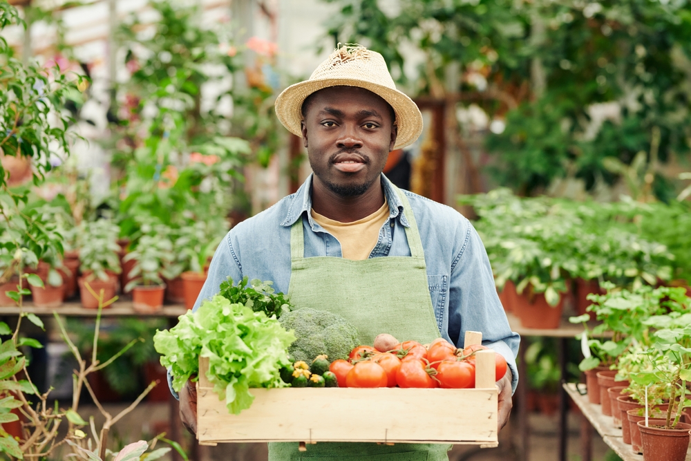 Bachelor en Contrôleur de gestion des exploitations agricole ou entreprise agroalimentaire.